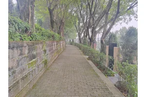 ## 标题，绿色殡葬：引领文明新风尚的生态礼赞