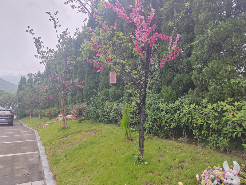 重庆灵安陵园