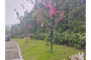 重庆灵安陵园