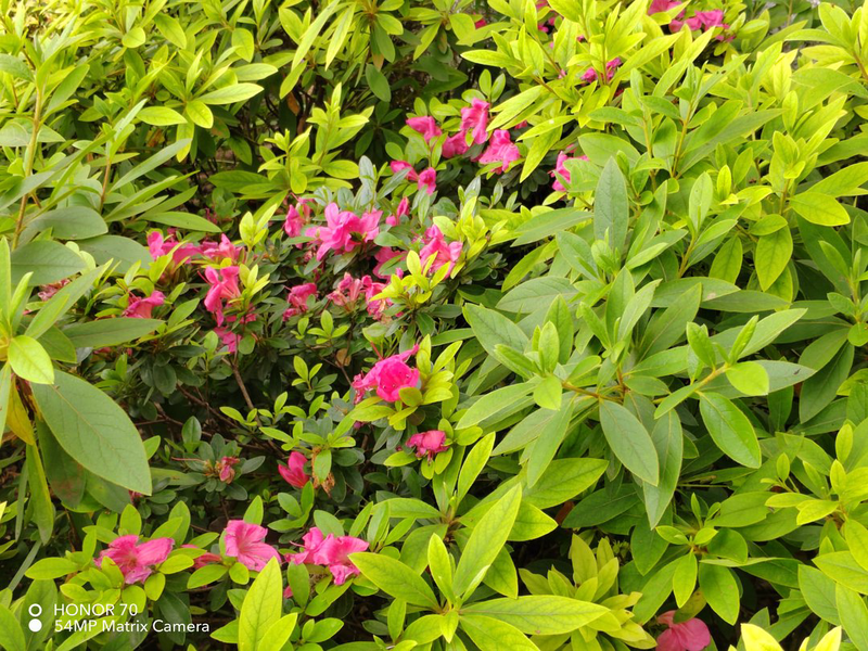 thumb_IMG_20230515_124657